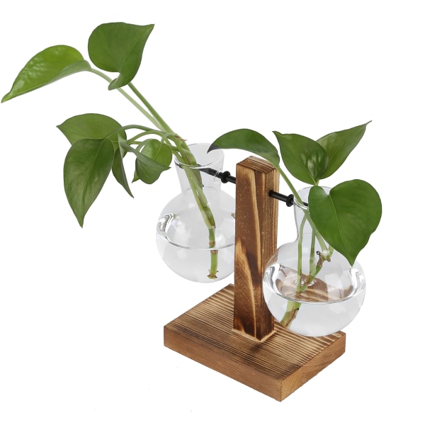 Innovativ plante-vase med træstativ Transparent glas Hydroponics Vase Skrivebordsdekoration Type C