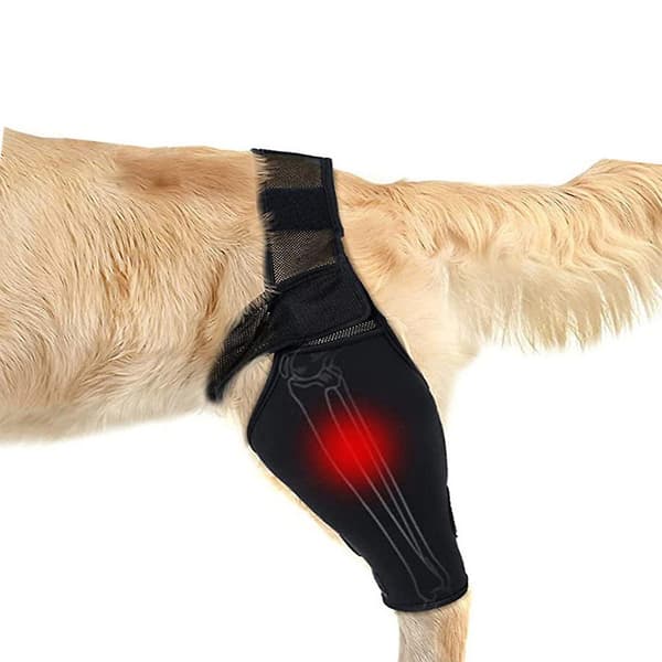 Justerbart hundbensstöd Professionellt hundbensstöd Andningsbart hundbensskydd Upgrade M