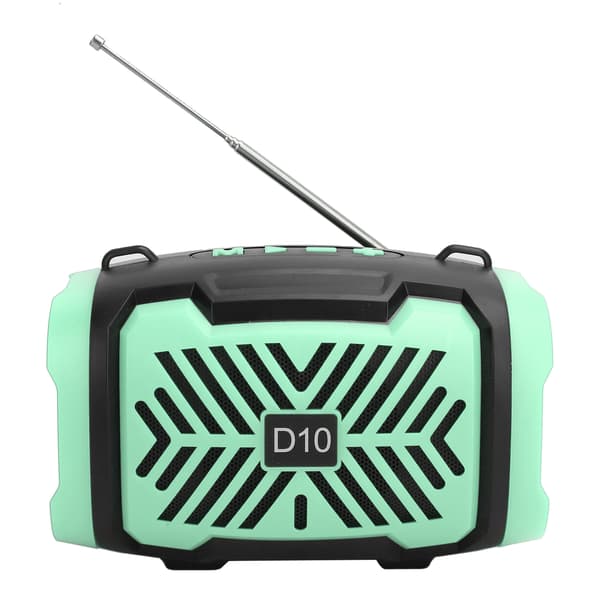D10 Bluetooth 5.0 langaton kaiutin USB FM-valonauhalla ja mikrofonilla