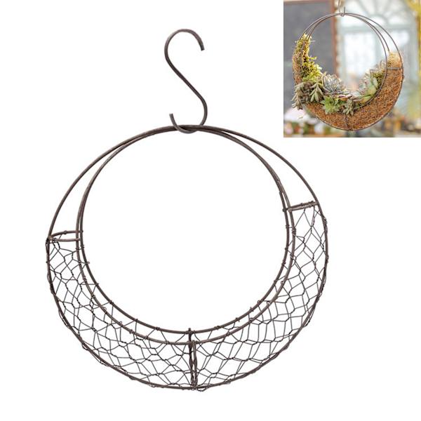 (Månkorgsspecifikationer: ytterdiameter 28 cm, innerdiameter 22 cm) Sukkulenter i järnram