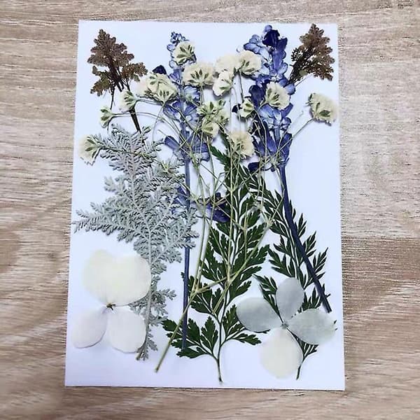 Presset blomst blandet tørrede blomster materiale til DIY aromaterapi stearinlys lykønskningskort epoxy håndværk Chrysanthemum Leaf Flower Package