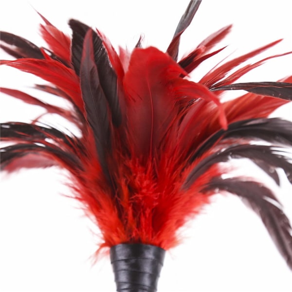 Feather Whip Rollspel Flirting Spanking