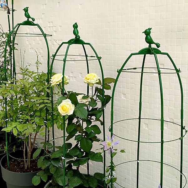 Rose-klematis-stativ, vindmølle, jasmin, vin, europæisk måneblomst-stativ, justerbar diameter og højde (80CM grøn)