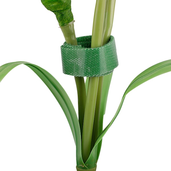 (1 rulle/grøn specifikation: bredde 20 mm*5 meter) Velcrobånd til multifunktion (pakkestørrelse: 10*10*3 cm)