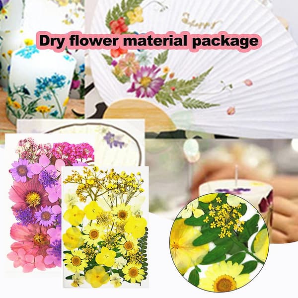 DIY Tørrede Blomster Materialesæt Mode Presset Blomster Plante Håndværk til Sæbefremstilling Combination pack 1