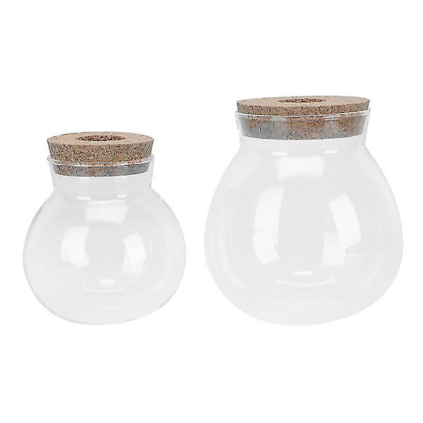 2 st Enkla Glasvaser