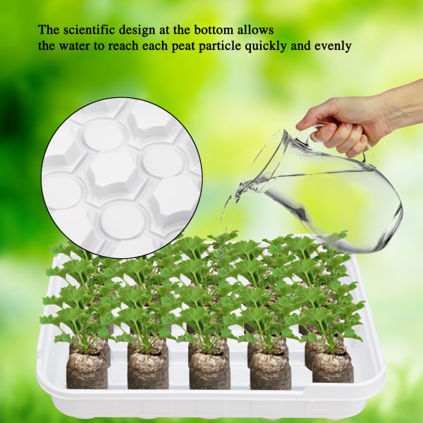 (6 sæt grønne) 20-hullers frøplanteboks (pakkestørrelse: 26*19*17 cm)