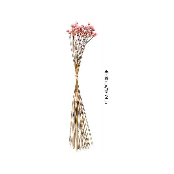 50 stk. Døde Blomster