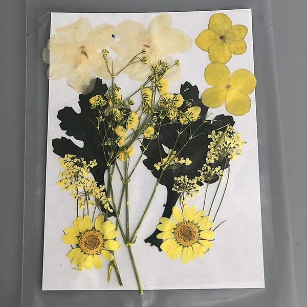 Presset blomst blandet tørrede blomster materiale til DIY aromaterapi stearinlys lykønskningskort epoxy håndværk Chrysanthemum Leaf Flower Package