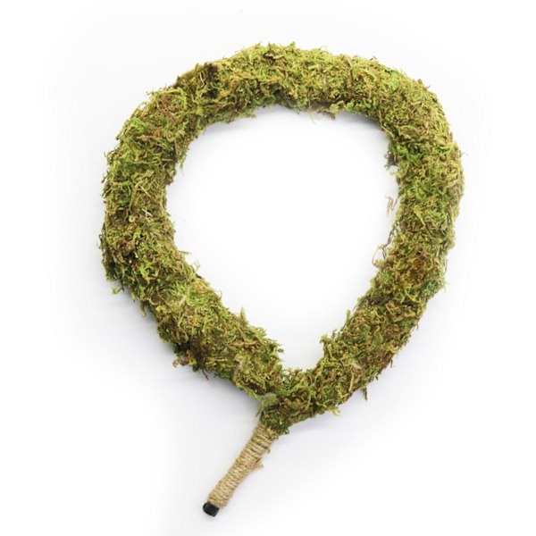 (2-pack) (2 stycken mossa i färglåda) Mosspåle DIY formad växtklätterstång klättervinstock böjbar formad pothos trädgårdspillar, mossa