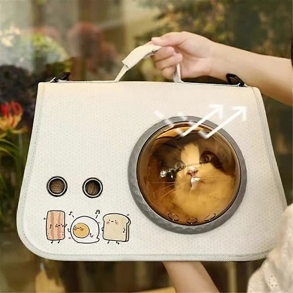 Cat Pet Carrier Transparent Window Design Breathable Ventilation