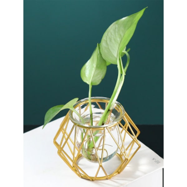(Hexagonalt guld) Järnblomställ hydrobonskruka glasvas ornament hem skrivbordsdekoration växtblomsterarrangemang behållare