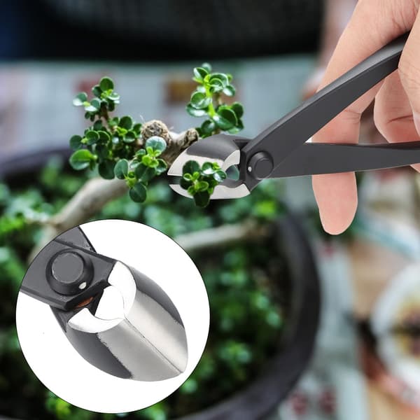 Bonsai Grenkutter for Hagearbeid, Pottefrukttrær og Landskapsmodellering