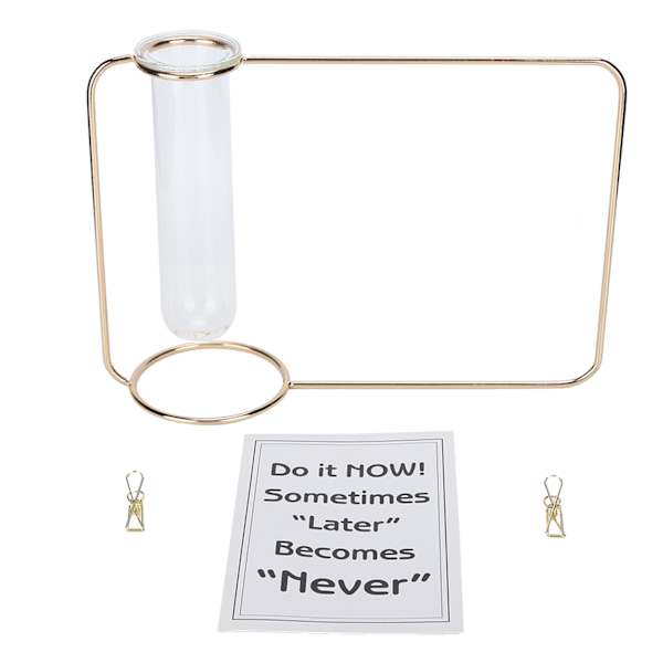 Innovativ Hängande Växtkruka Testtube Transparent Hydroponisk Växtvas för Hemmet IndoorGold
