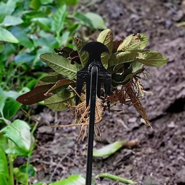 Weeding Tool, 2 Pcs Manual Weeding Tools, Stainless Steel Weeding Tool-tfrf