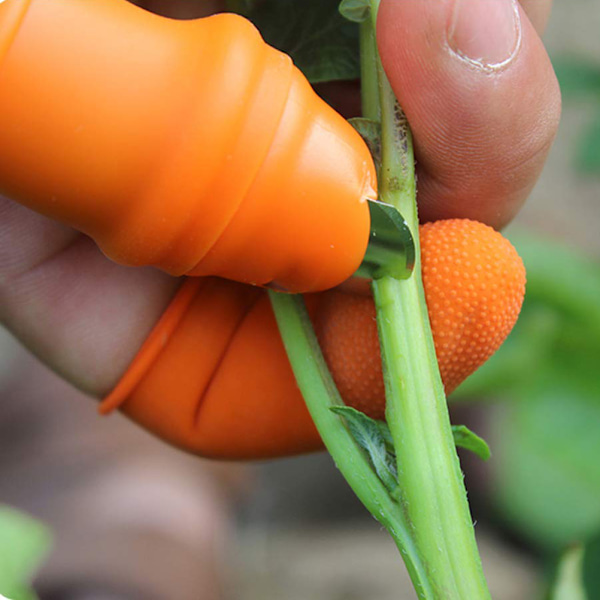 Plukk Tommelkutter Fingerhylse Sett Plukkeverktøy for Høsting Hageplante Frukt Grønnsak Plukker