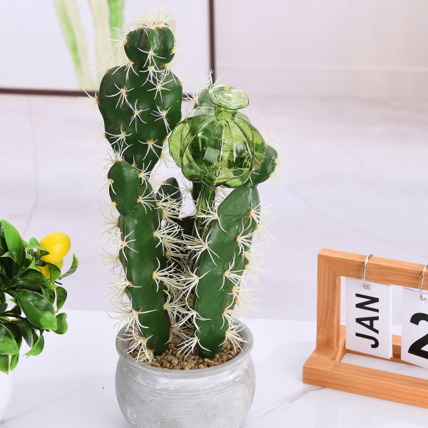 (3stk/transparent polykarbonat emballasje - kaktus) Lazy vanningsmaskin glassmateriale polykarbonat emballasje