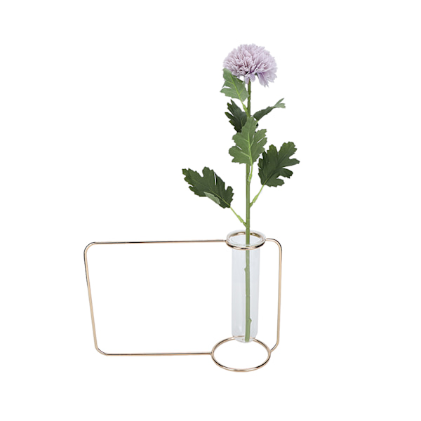 Innovativ Hängande Växtkruka Testtube Transparent Hydroponisk Växtvas för Hemmet IndoorGold