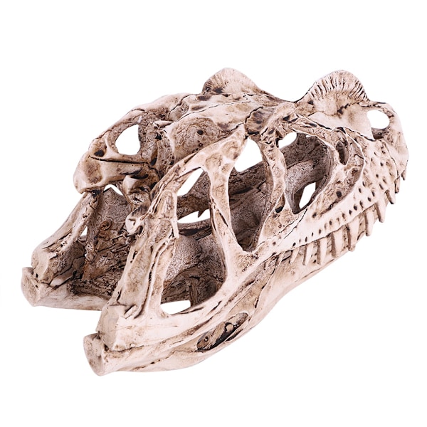 Resin Dinosaur Skull Model: Realistisk Dyreskelet til Hjem og Kontor Dekoration, Håndværk og Uddannelsesmæssig Visning