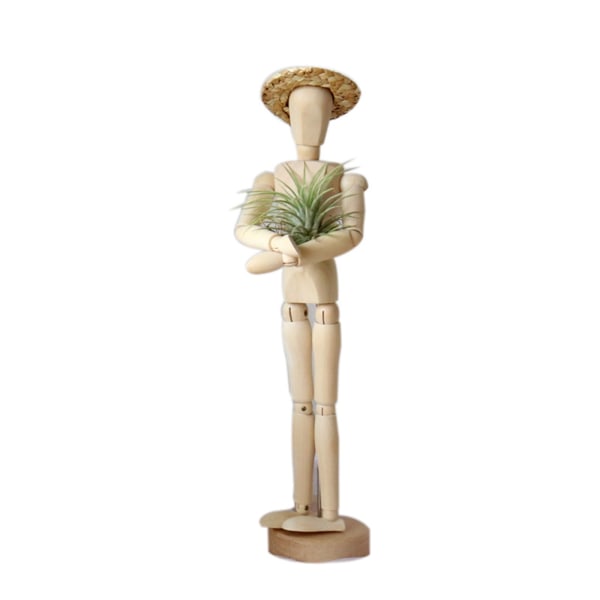 Bevægelig Ledmannequin Dekorativ Puppet Air Ananas Plant Stand - Medium dukke + stråhat Materiale: Lotus træ 20 cm