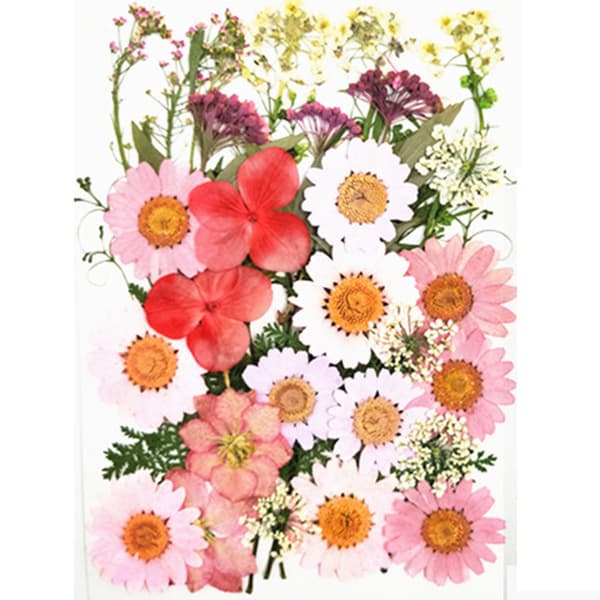 DIY Tørrede Blomster Materialesæt Mode Presset Blomster Plante Håndværk til Sæbefremstilling Combination pack 1