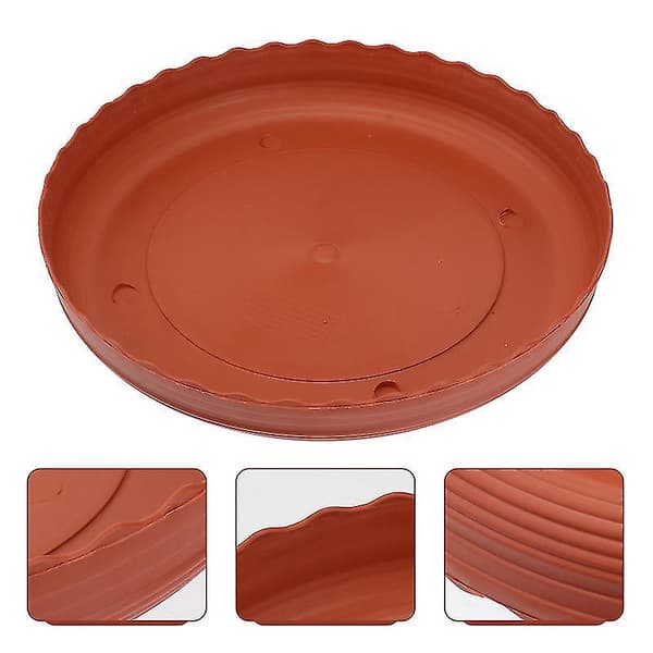 5 stk. sukkulent plantepotter base