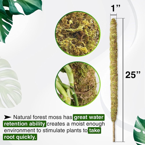 Stöd för äkta mossa för Monstera böjbara växtstakar Mosspinne krukväxter Perfekt för klätterväxter inomhus