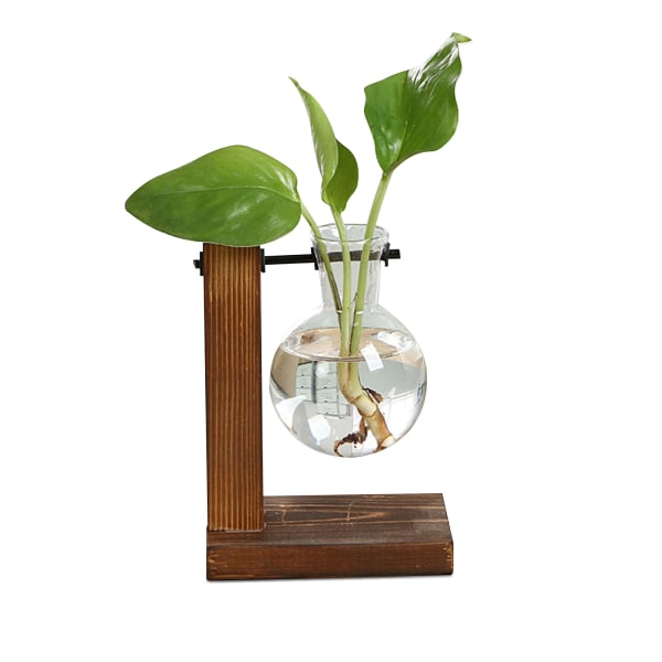 Enkel kreativ glassvase vase treramme hydroponisk vase grønn dillplante gjennomsiktig vase skrivebordsdekorasjon dekorasjon type A