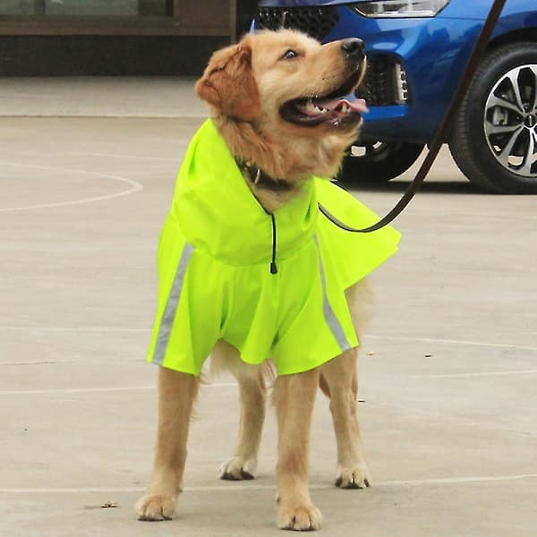 Opgradering 1 stk. Regnhætte til hund