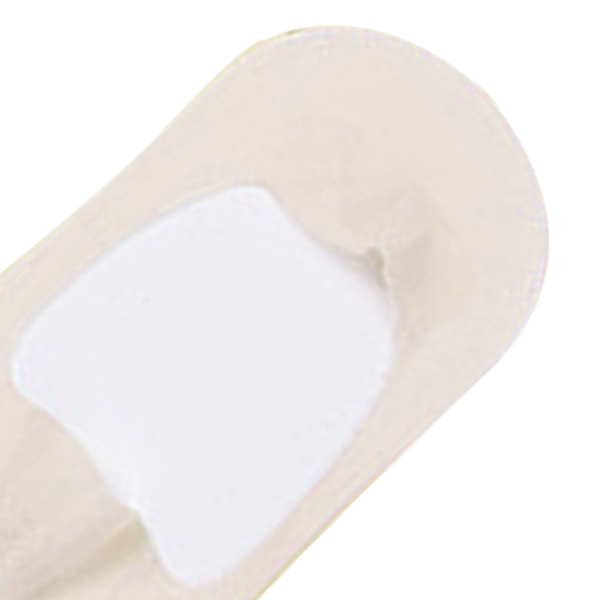 Damstrumpor Låg Skärning Andningsbart Mesh Hudvänligt Mjukt Lätt Bomull Damstrumpor för Skor Stövlar Sneakers Ljus Beige Fri Storlek (EU Storlek 30 till 34)