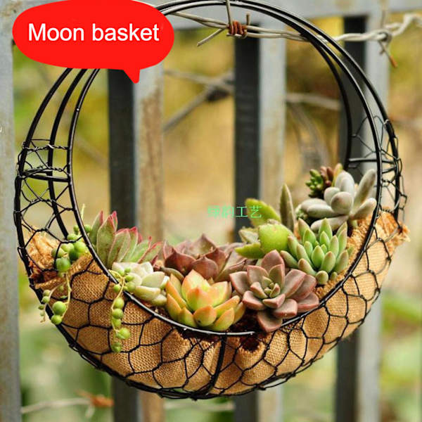 (Månkorgsspecifikationer: ytterdiameter 28 cm, innerdiameter 22 cm) Sukkulenter i järnram