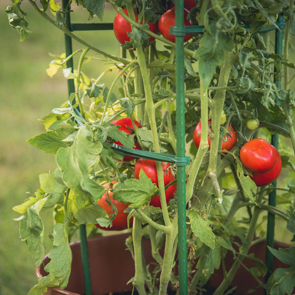 12 stk. tomatobur-gitterstativ-forbindelser (grøn) (enkelt længde 25,4 cm)