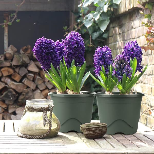 16CM Plastblomkrukor, Inomhusblomkruka med Bricka, Flowe,ZQKLA