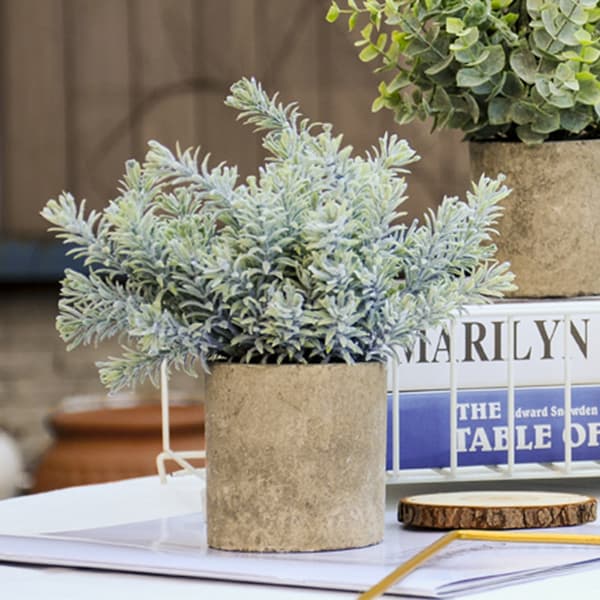3-pak Mini Potteplanter Kunstige Plast Eukalyptus, ZQKLA