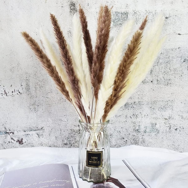 75 stk | 20 stk Hvide Pampas & 20 stk Brune Pampas & 35 stk Siv