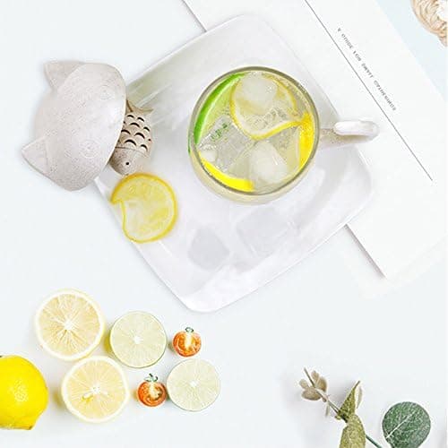 Katt Glas Te Kopp, Vattenflaska med Fiskformad Teinfuser, Kaffe