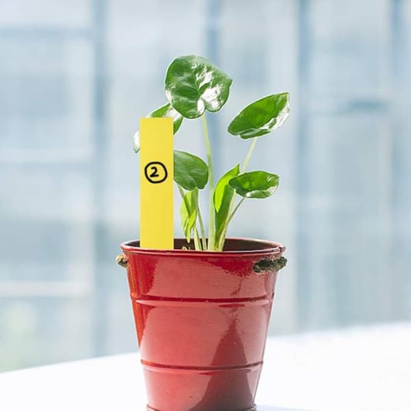 200 plastväxtmärken, 5 x 1 cm gula plastträdgårdsmärken