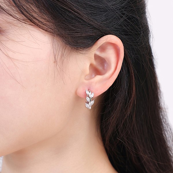 Små Hoop Øredobber for Kvinner Jenter Cubic Zirconia Cluster L,ZQKLA