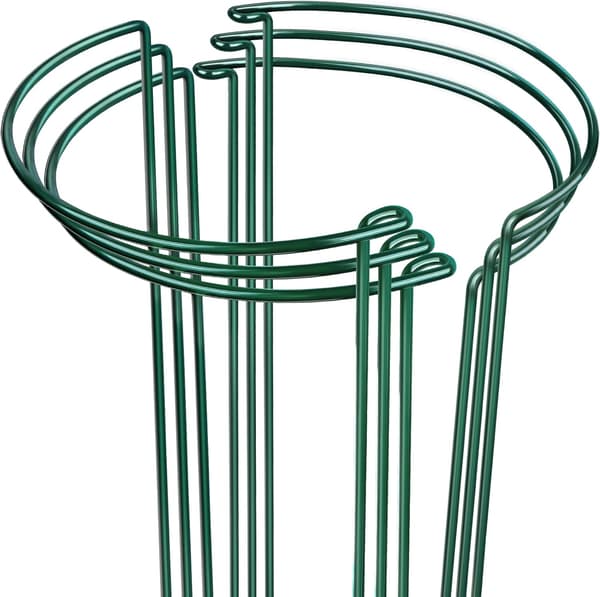 Växtstöd, 6-pack Växtstöd, Peony