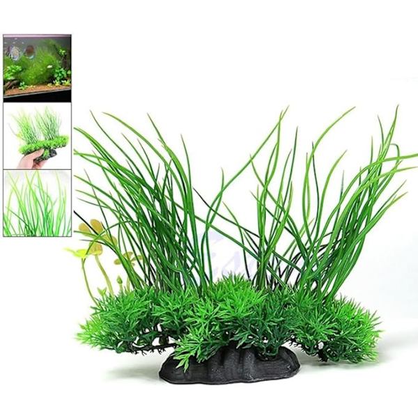 Dekorativ vannplante for akvarium
