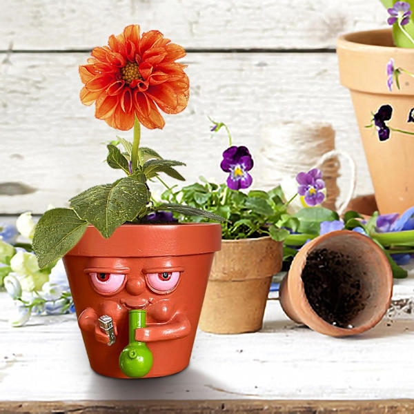 Sjov Potteplante til Sukkulenter Stueplanter, Sjov Plantepotte, Cr