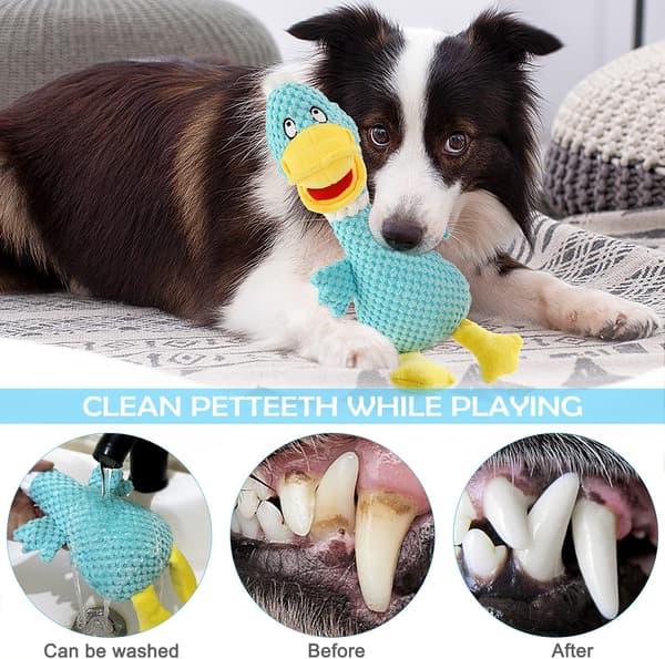 Hundleksaker med Pip, Plysch Hundtuggleksaker Hundpipboll Interagera