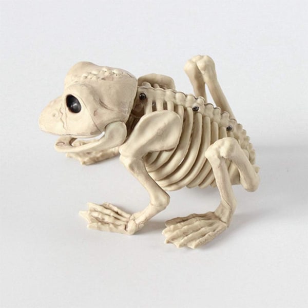 1 stk Halloween Dyr Skummelt Skjelett Rekvisitter Glad Halloween Sp,ZQKLA