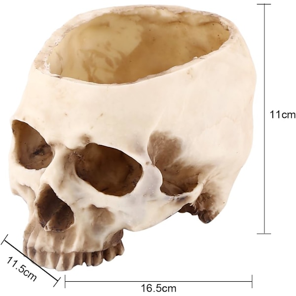 Harskalle Blomsterpotte Skalle Vase Harpiks Hovedmodel Halloween Dekoration