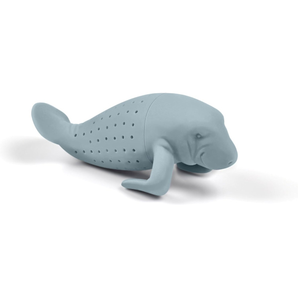 Silisium Teinfuser