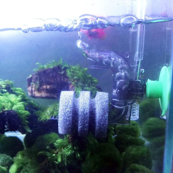 Enkelt svampfilter for akvarium - Neddykbar skumfilter, ZQKLA