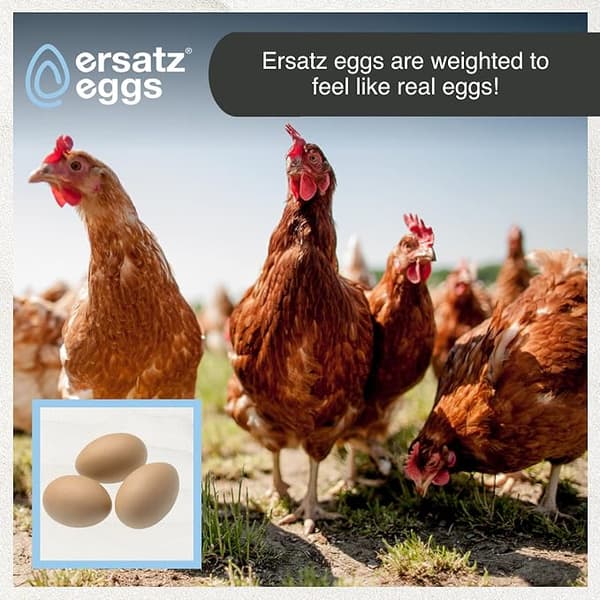 Kyllingegg Fake Kyllingegg Tre Fake Egg Sett Hjelper med Verping H