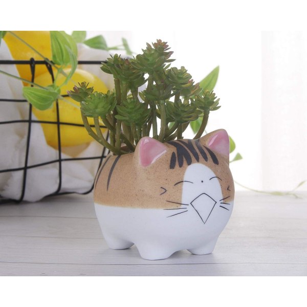 2 stk Katt Sukkulent potter Planter, med dreneringshull, Blomsterpotte, H