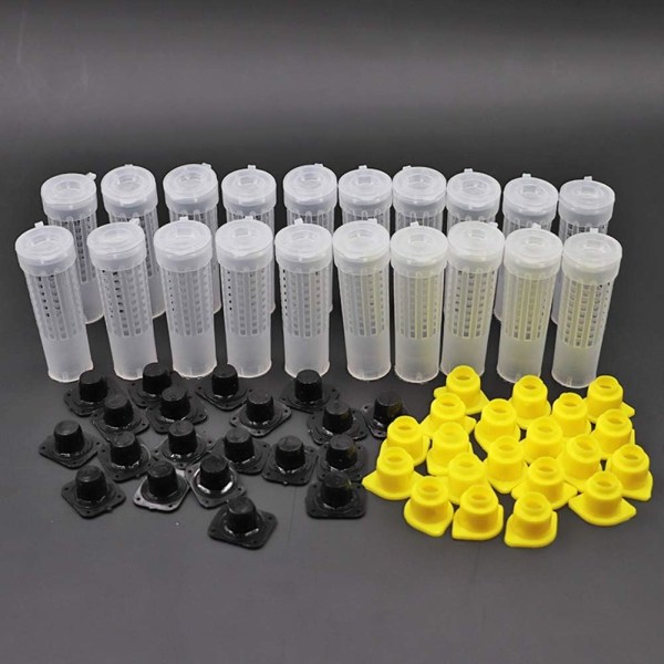 Bee Queen Cage Rearing Cup 20 set Biodlingsutrustning Inse,ZQKLA