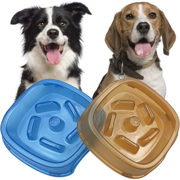 Slow Feed Dog Bowl for små, mellomstore og store raser, Puzzl, ZQKLA